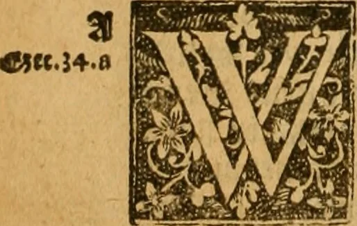 An illustration from The Byble : that is to saye, all the holye Scripture, in whiche are contayned the olde and new Testament : truly and purely translated into Englishe : & now lately with great industry & diligence recognysed .., 1551, leaf 787
