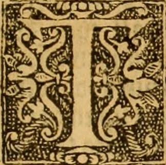 An illustration from The Byble : that is to saye, all the holye Scripture, in whiche are contayned the olde and new Testament : truly and purely translated into Englishe : & now lately with great industry & diligence recognysed .., 1551, leaf 802