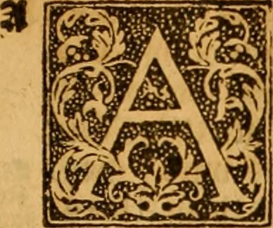 An illustration from The Byble : that is to saye, all the holye Scripture, in whiche are contayned the olde and new Testament : truly and purely translated into Englishe : & now lately with great industry & diligence recognysed .., 1551, leaf 868
