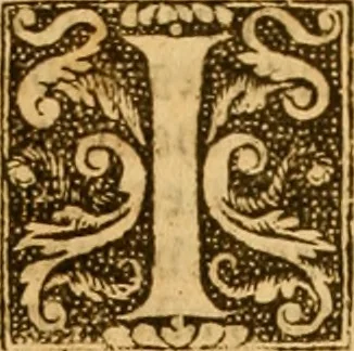 An illustration from The Byble : that is to saye, all the holye Scripture, in whiche are contayned the olde and new Testament : truly and purely translated into Englishe : & now lately with great industry & diligence recognysed .., 1551, leaf 876