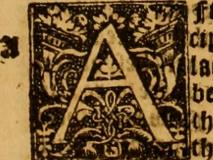 An illustration from The Byble : that is to saye, all the holye Scripture, in whiche are contayned the olde and new Testament : truly and purely translated into Englishe : & now lately with great industry & diligence recognysed .., 1551, leaf 14