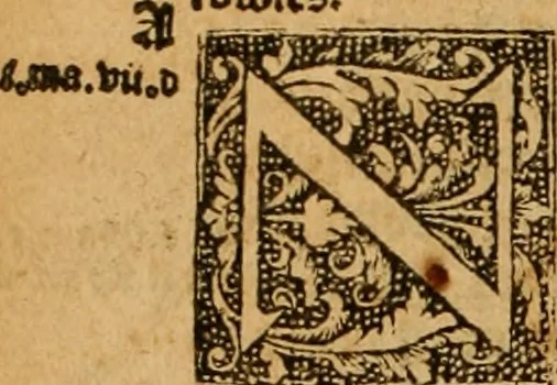 An illustration from The Byble : that is to saye, all the holye Scripture, in whiche are contayned the olde and new Testament : truly and purely translated into Englishe : & now lately with great industry & diligence recognysed .., 1551, leaf 205