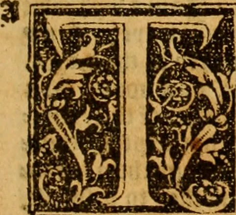 An illustration from The Byble : that is to saye, all the holye Scripture, in whiche are contayned the olde and new Testament : truly and purely translated into Englishe : & now lately with great industry & diligence recognysed .., 1551, leaf 24