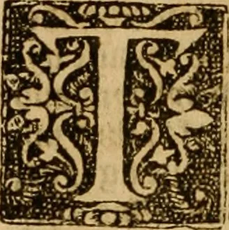 An illustration from The Byble : that is to saye, all the holye Scripture, in whiche are contayned the olde and new Testament : truly and purely translated into Englishe : & now lately with great industry & diligence recognysed .., 1551, leaf 299