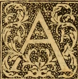 An illustration from The Byble : that is to saye, all the holye Scripture, in whiche are contayned the olde and new Testament : truly and purely translated into Englishe : & now lately with great industry & diligence recognysed .., 1551, leaf 300