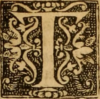 An illustration from The Byble : that is to saye, all the holye Scripture, in whiche are contayned the olde and new Testament : truly and purely translated into Englishe : & now lately with great industry & diligence recognysed .., 1551, leaf 313