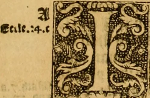 An illustration from The Byble : that is to saye, all the holye Scripture, in whiche are contayned the olde and new Testament : truly and purely translated into Englishe : & now lately with great industry & diligence recognysed .., 1551, leaf 330