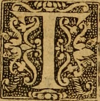 An illustration from The Byble : that is to saye, all the holye Scripture, in whiche are contayned the olde and new Testament : truly and purely translated into Englishe : & now lately with great industry & diligence recognysed .., 1551, leaf 331