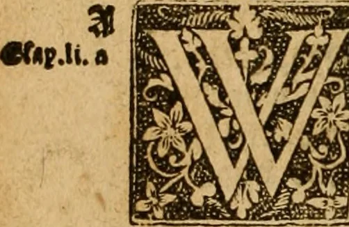 An illustration from The Byble : that is to saye, all the holye Scripture, in whiche are contayned the olde and new Testament : truly and purely translated into Englishe : & now lately with great industry & diligence recognysed .., 1551, leaf 385