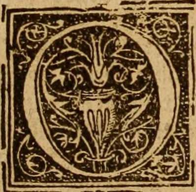An illustration from The Byble : that is to saye, all the holye Scripture, in whiche are contayned the olde and new Testament : truly and purely translated into Englishe : & now lately with great industry & diligence recognysed .., 1551, leaf 411