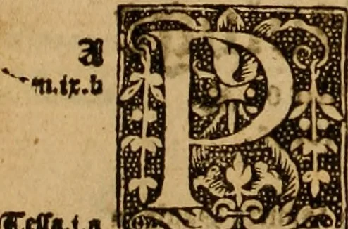 An illustration from The Byble : that is to saye, all the holye Scripture, in whiche are contayned the olde and new Testament : truly and purely translated into Englishe : & now lately with great industry & diligence recognysed .., 1551, leaf 445