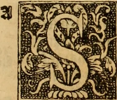 An illustration from The Byble : that is to saye, all the holye Scripture, in whiche are contayned the olde and new Testament : truly and purely translated into Englishe : & now lately with great industry & diligence recognysed .., 1551, leaf 460