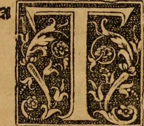 An illustration from The Byble : that is to saye, all the holye Scripture, in whiche are contayned the olde and new Testament : truly and purely translated into Englishe : & now lately with great industry & diligence recognysed .., 1551, leaf 463