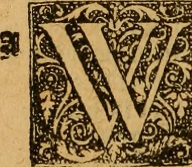 An illustration from The Byble : that is to saye, all the holye Scripture, in whiche are contayned the olde and new Testament : truly and purely translated into Englishe : & now lately with great industry & diligence recognysed .., 1551, leaf 63