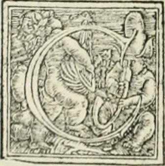 An illustration from Byzantinae historiae Libri XI : quibus res a Graecis Imperatorib. per annos CXLV a Theodoro Lascari priore usque ad Andronici Palaeologi posterioris obitum gestae describuntur..., 1562, leaf 191