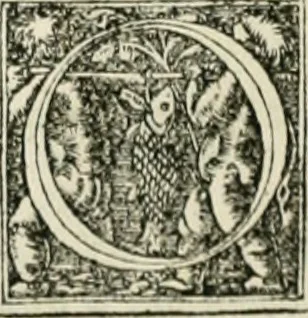 An illustration from Byzantinae historiae Libri XI : quibus res a Graecis Imperatorib. per annos CXLV a Theodoro Lascari priore usque ad Andronici Palaeologi posterioris obitum gestae describuntur..., 1562, leaf 191