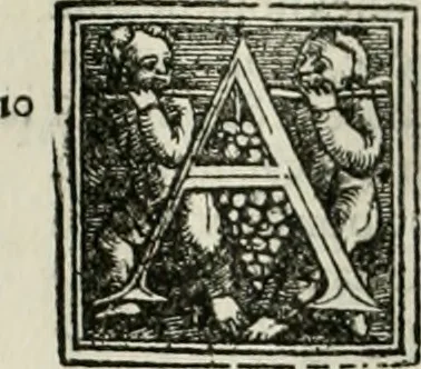 An illustration from Byzantinae historiae Libri XI : quibus res a Graecis Imperatorib. per annos CXLV a Theodoro Lascari priore usque ad Andronici Palaeologi posterioris obitum gestae describuntur..., 1562, leaf 226