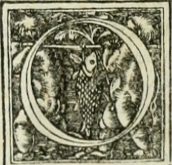 An illustration from Byzantinae historiae Libri XI : quibus res a Graecis Imperatorib. per annos CXLV a Theodoro Lascari priore usque ad Andronici Palaeologi posterioris obitum gestae describuntur..., 1562, leaf 25