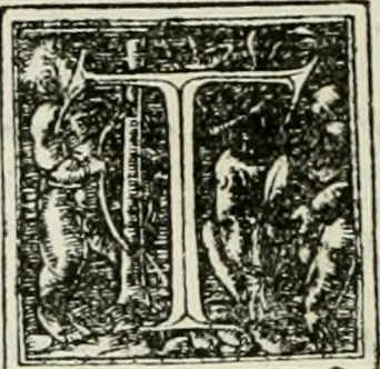 An illustration from Byzantinae historiae Libri XI : quibus res a Graecis Imperatorib. per annos CXLV a Theodoro Lascari priore usque ad Andronici Palaeologi posterioris obitum gestae describuntur..., 1562, leaf 253