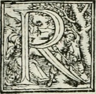 An illustration from Byzantinae historiae Libri XI : quibus res a Graecis Imperatorib. per annos CXLV a Theodoro Lascari priore usque ad Andronici Palaeologi posterioris obitum gestae describuntur..., 1562, leaf 273