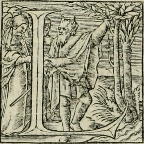 An illustration from Byzantinae historiae Libri XI : quibus res a Graecis Imperatorib. per annos CXLV a Theodoro Lascari priore usque ad Andronici Palaeologi posterioris obitum gestae describuntur..., 1562, leaf 290