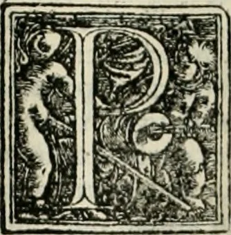 An illustration from Byzantinae historiae Libri XI : quibus res a Graecis Imperatorib. per annos CXLV a Theodoro Lascari priore usque ad Andronici Palaeologi posterioris obitum gestae describuntur..., 1562, leaf 302