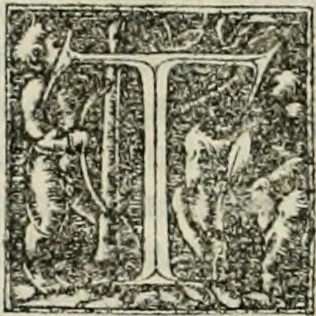 An illustration from Byzantinae historiae Libri XI : quibus res a Graecis Imperatorib. per annos CXLV a Theodoro Lascari priore usque ad Andronici Palaeologi posterioris obitum gestae describuntur..., 1562, leaf 314