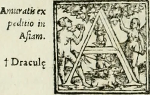 An illustration from Byzantinae historiae Libri XI : quibus res a Graecis Imperatorib. per annos CXLV a Theodoro Lascari priore usque ad Andronici Palaeologi posterioris obitum gestae describuntur..., 1562, leaf 353