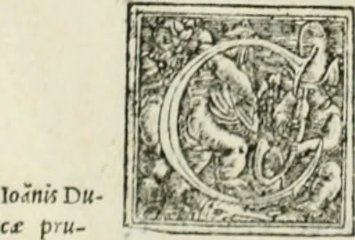 An illustration from Byzantinae historiae Libri XI : quibus res a Graecis Imperatorib. per annos CXLV a Theodoro Lascari priore usque ad Andronici Palaeologi posterioris obitum gestae describuntur..., 1562, leaf 39