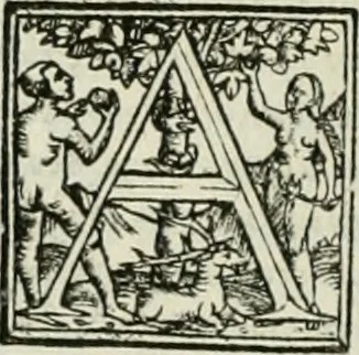 An illustration from Byzantinae historiae Libri XI : quibus res a Graecis Imperatorib. per annos CXLV a Theodoro Lascari priore usque ad Andronici Palaeologi posterioris obitum gestae describuntur..., 1562, leaf 51