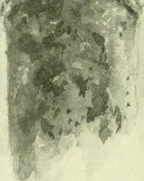 An illustration from Byzantine and Romanesque architecture, 1920, leaf 95