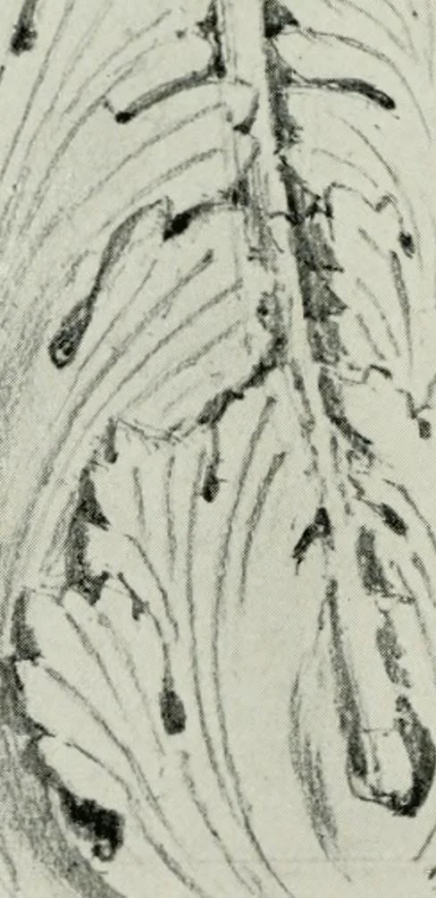 An illustration from Byzantine and Romanesque architecture, 1920, leaf 377