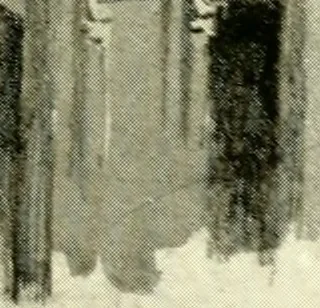 An illustration from Byzantine and Romanesque architecture, 1913, leaf 378
