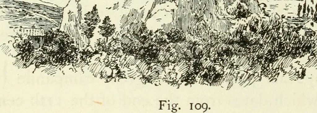 An illustration from Byzantine and Romanesque architecture, 1913, leaf 233