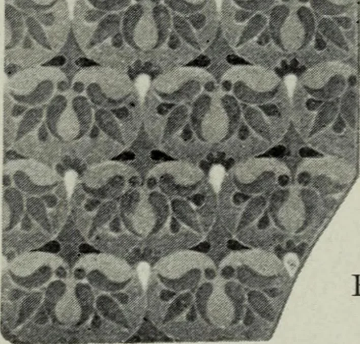 An illustration from Die byzantinischen Zellenschmelze der Sammlung Dr. Alex. von Swenigorodskoï und das darüber veröffentlichte Prachtwerk : archäologisch-kunstgeschichtliche Studie, 1896, leaf 528