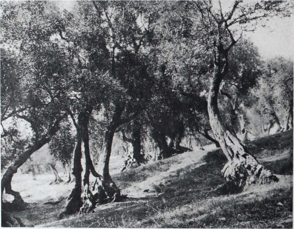 An illustration from Art and Archaeology Volume II July-December 1915, 1915, leaf 26