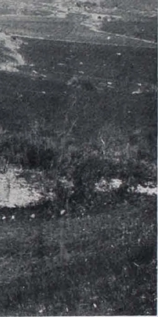 An illustration from Art and Archaeology Volume II July-December 1915, 1915, leaf 27