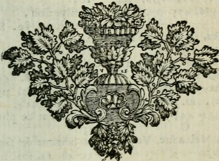 An illustration from Histoire des plantes qui naissent aux environs de Paris, avec leur usage dans la medecine, 1698, leaf 602