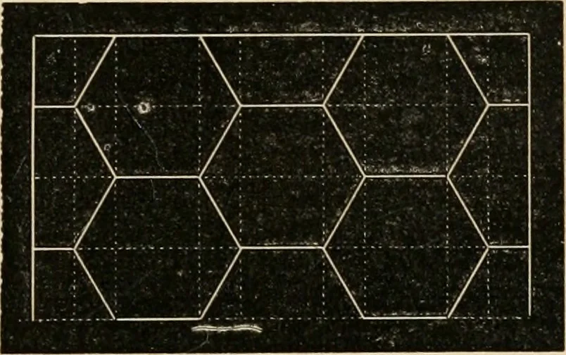 An illustration from Teachers' manual for freehand drawing in Intermediate schools : intended to accompany the drawing-books for intermediate schools, 1878, leaf 104