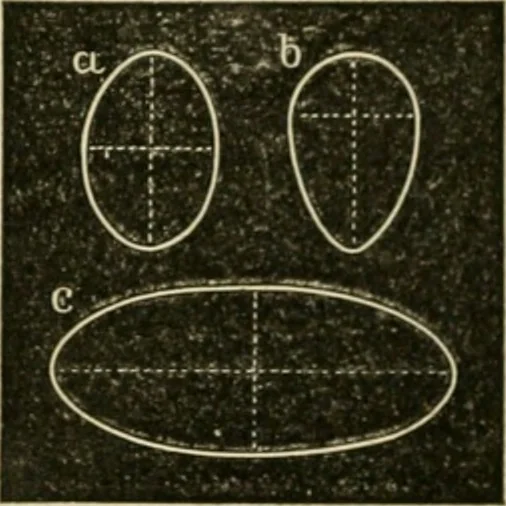 An illustration from Teachers' manual for freehand drawing in Intermediate schools : intended to accompany the drawing-books for intermediate schools, 1878, leaf 119