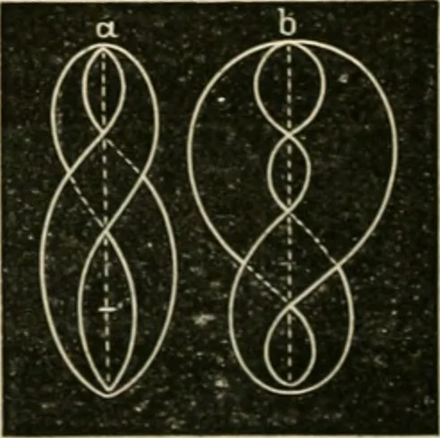 An illustration from Teachers' manual for freehand drawing in Intermediate schools : intended to accompany the drawing-books for intermediate schools, 1878, leaf 147