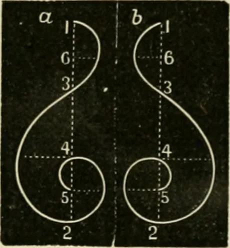 An illustration from Teachers' manual for freehand drawing in Intermediate schools : intended to accompany the drawing-books for intermediate schools, 1878, leaf 151