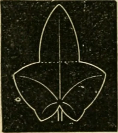 An illustration from Teachers' manual for freehand drawing in Intermediate schools : intended to accompany the drawing-books for intermediate schools, 1878, leaf 167