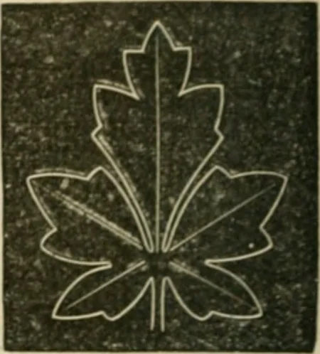 An illustration from Teachers' manual for freehand drawing in Intermediate schools : intended to accompany the drawing-books for intermediate schools, 1878, leaf 179