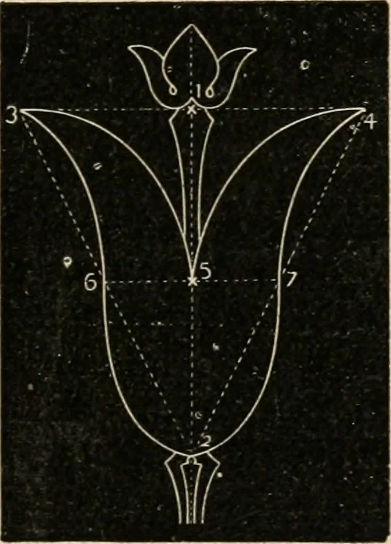 An illustration from Teachers' manual for freehand drawing in Intermediate schools : intended to accompany the drawing-books for intermediate schools, 1878, leaf 192