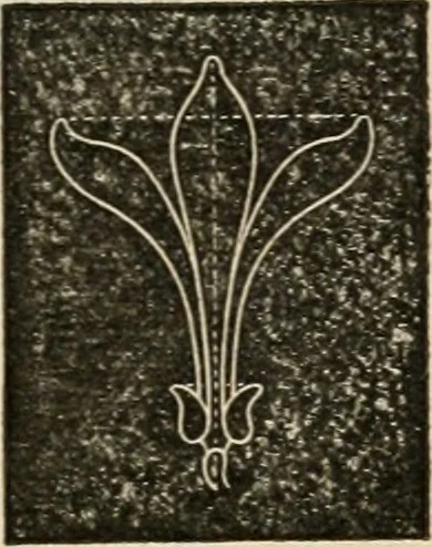 An illustration from Teachers' manual for freehand drawing in Intermediate schools : intended to accompany the drawing-books for intermediate schools, 1878, leaf 194