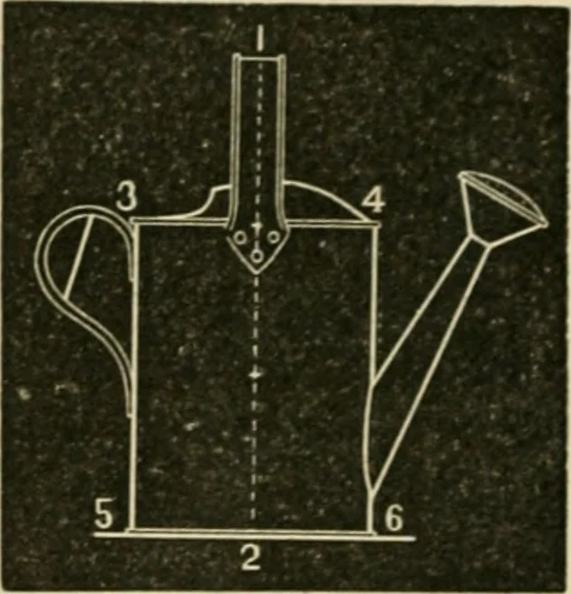 An illustration from Teachers' manual for freehand drawing in Intermediate schools : intended to accompany the drawing-books for intermediate schools, 1878, leaf 213