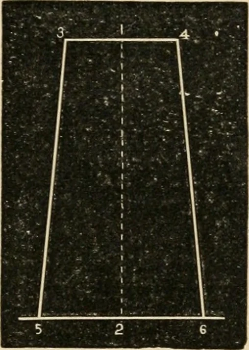 An illustration from Teachers' manual for freehand drawing in Intermediate schools : intended to accompany the drawing-books for intermediate schools, 1878, leaf 214