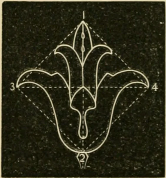 An illustration from Teachers' manual for freehand drawing in Intermediate schools : intended to accompany the drawing-books for intermediate schools, 1878, leaf 215