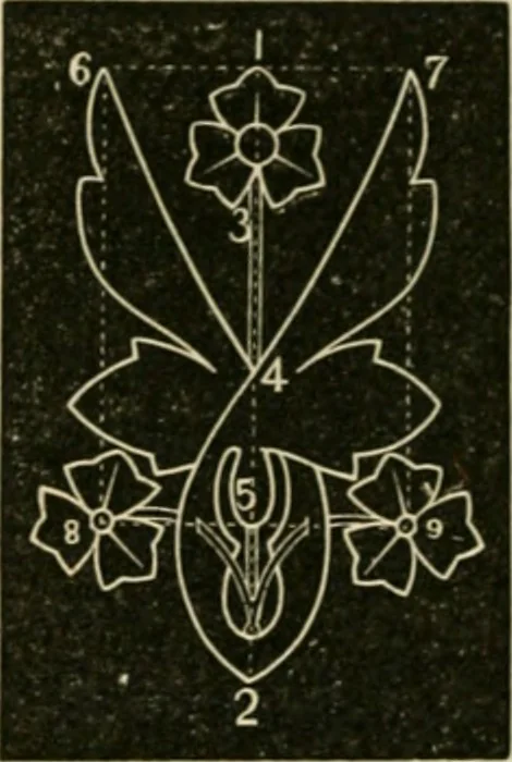 An illustration from Teachers' manual for freehand drawing in Intermediate schools : intended to accompany the drawing-books for intermediate schools, 1878, leaf 217